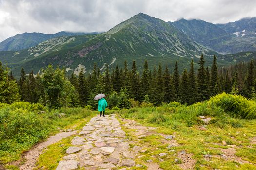 hiker in green raincoat and umbrella walking in Tatra mountains