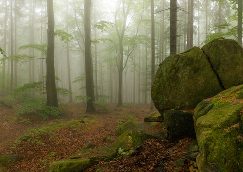 big boulder stones covered in moss in foggy forest in Rudawy Janowickie, Poland