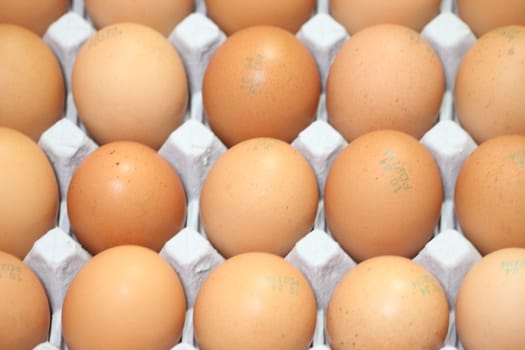 Closeup view with selective focus on fresh farm chicken eggs in an egg-carton or egg holder or paper tray placed in market for sale
