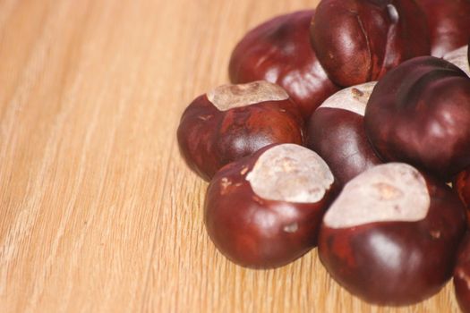 Chestnut and chestnut pod with spines on a wooden floor. Close-Up of bunch of dried chestnut fruits over wooden background.