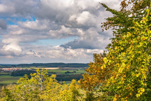 beautiful autumn hike in the colorful forest near wilhelmsdorf near ravensburg in upper swabia germany