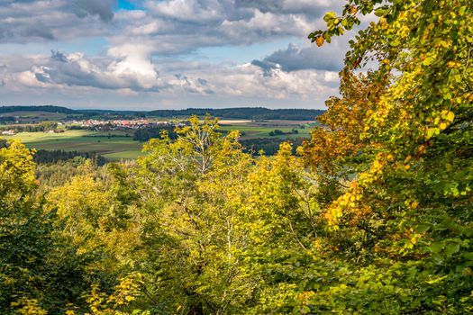 beautiful autumn hike in the colorful forest near wilhelmsdorf near ravensburg in upper swabia germany