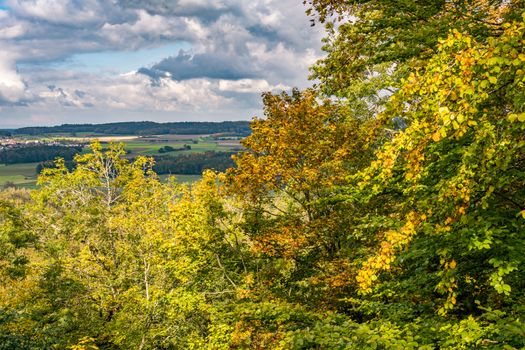 beautiful autumn hike in the colorful forest near wilhelmsdorf near ravensburg in upper swabia germany