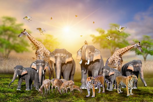 Large group of african safari animals. Wildlife conservation concept