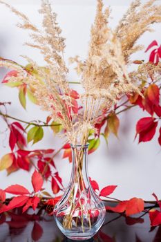 .A vase of dried flowers on a black glass surface surrounded by autumn leaves of wild grapes and water drops
