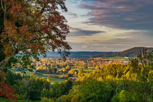 beautiful autumn hike in the colorful forest near wilhelmsdorf near ravensburg in upper swabia germany