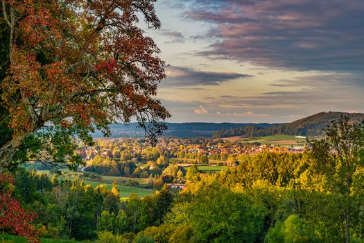 beautiful autumn hike in the colorful forest near wilhelmsdorf near ravensburg in upper swabia germany