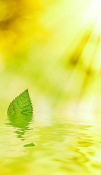 Green leaves and spring water,  eco nature and bio energy background design