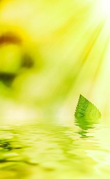 Green leaves and spring water,  eco nature and bio energy background design