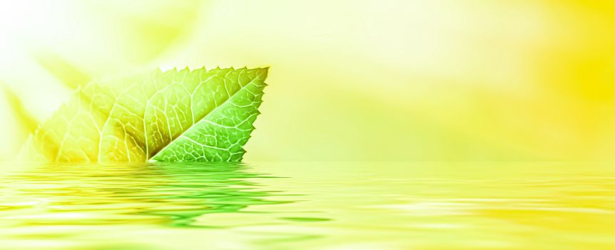 Green leaves and spring water,  eco nature and bio energy background design