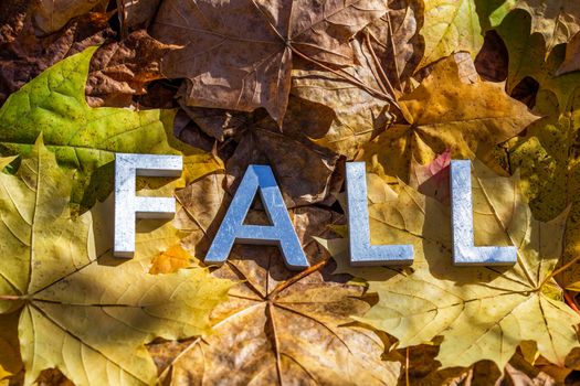 the word fall laid with metal letters over yellow autumn fallen leaves - closeup with selective focus.