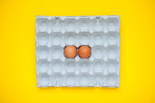 Chicken eggs in cassette on bright yellow background