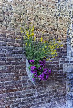 Scenic flowers hung on the walls in the city streets of Pienza, province of Siena, Tuscany, Italy