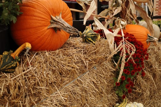 Pumpkins, gourds and the dried stalks of corn sit with flowers on straw bales in an autumn harvest display.