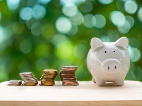 Piggy bank and silver coin placed on the wooden table. On natural bokeh background. Business and Saving concept.