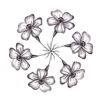 Black Hand-Drawn Isolated Flower Circle Composition. Monochrome Botanical Plant Illustration in Sketch Style. Thin-leaved Marigolds for Print, Tattoo, Design, Holiday, Wedding and Birthday Card.