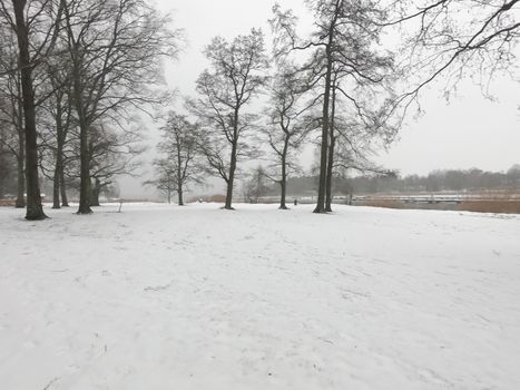 The road and nature park during covid-19 pandemic social distancing isolation in Helsinki, Finland