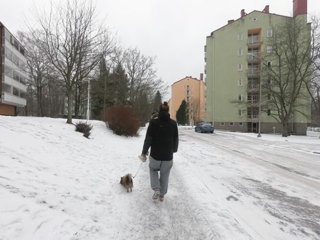 A man has walking with a pet dog on a leash at a nature park during covid-19 pandemic social distancing isolation in Helsinki, Finland