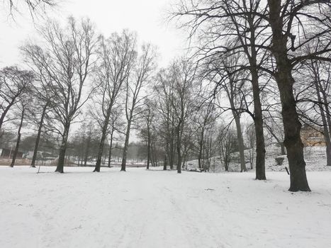 The road and nature park during covid-19 pandemic social distancing isolation in Helsinki, Finland