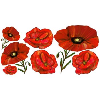Set with Red poppy flowers isolated on white background. Simple floral hand drawn wildflower design.