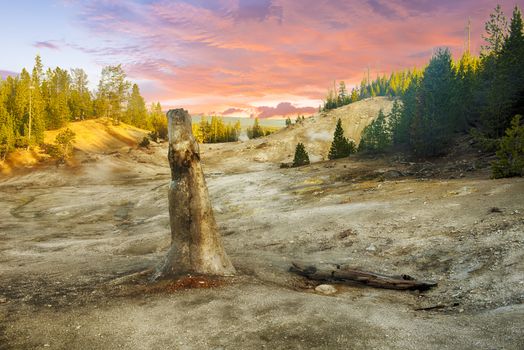 Siliceous spire at sunset time seen at Monument Geyser Basin. Yellowstone National Park, Wyoming - USA