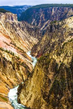 Detail of a vivid Grand Canyon of the Yellowstone seen from Artist Point. Yellowstone National Park, Wyoming, USA