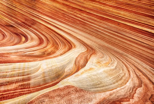 Detailed natural background of petrified dune. The Wave is an awesome vivid swirling ancient sandstone formation in Coyote Buttes North. Arizona, USA