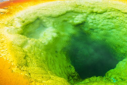 Deatiled photo of Morning glory pool from above. Yellowstone National Park, Wyoming, USA