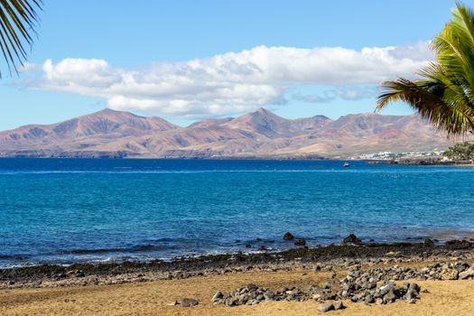 Coast of Puerto del Carmen at Canary island Lanzarote with lava rocks, sand, palm trees and blue water in the foreground and volcanic mountain range in the background. The sky is blue with white clouds.