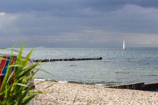 Beach at the Baltic Sea with a beach chair, reeds, sand, seagulls sitting on bunes and sailing boat