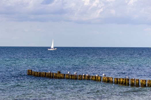 Nice view at the Baltic Sea with seagulls sitting on unes and sailing boat