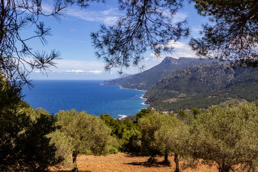 Scenic view at the coastline in the north of  Mallorca between Valldemossa and Bayalbufar