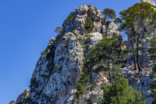 Scenic view on the coast of northern Mallorca between Bayalbufar and Andratx