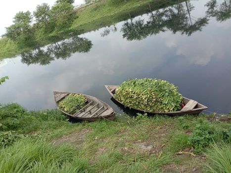 black colored wooden boat on lake with grass
