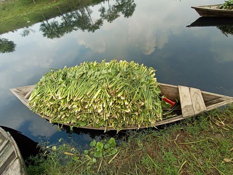 black colored wooden boat on lake with grass