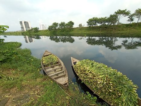 black colored wooden boat on lake with grass