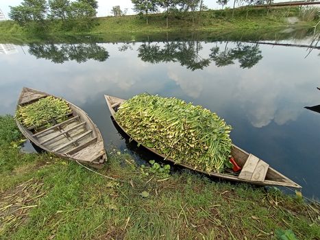 black colored wooden boat on lake with grass