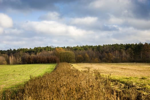 Fallow fields and meadow, autumn forest and white clouds on the blue sky