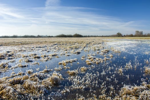 Frozen water and frost on the meadow, horizon and blue sky, winter view