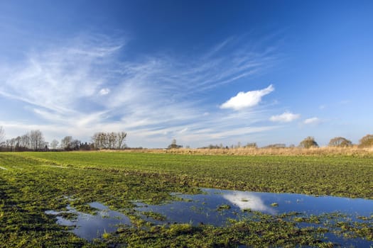 Wet green winter field, horizon and white clouds on a blue sky, sunny day