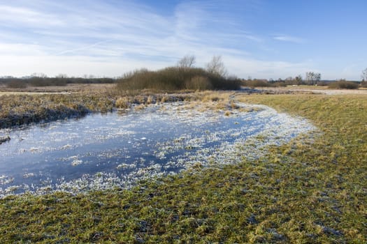 Frozen pond and frost on the meadow, shrubs on the horizon and blue sky, winter view
