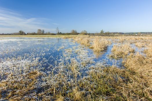Frozen water and frost on dry meadow, horizon and blue sky, winter view