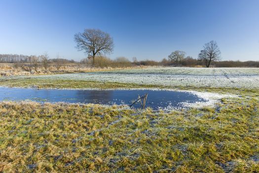 Frozen pond and frost on the meadow, trees on the horizon and blue sky, winter view
