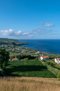 Walk on the Azores archipelago. Discovery of the island of Faial, Azores. Portugal. Europe.