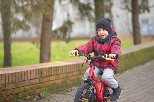 Cheerful little boy while riding bicycle in the park.