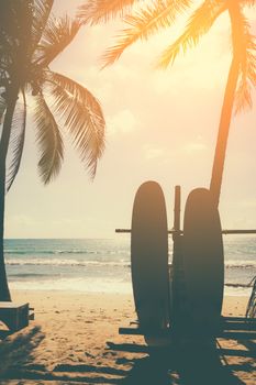 Surfboards beside coconut trees at summer beach with sun light.