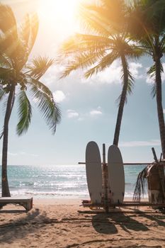 Surfboards beside coconut trees at summer beach with sun light.