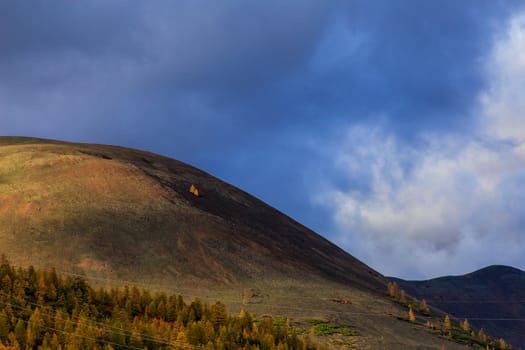 Bright low hills in the tundra, covered with grass and colorful trees. Russian tundra