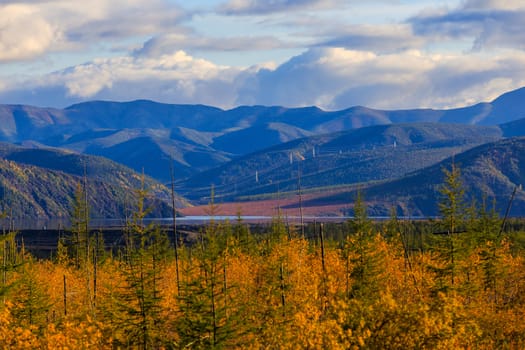 Bright low hills in the tundra, covered with grass and colorful trees. Russian tundra