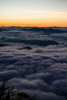 sunrise and sea of fog view on phu chi fa mountain area and national forest park in chiang rai, Thailand.